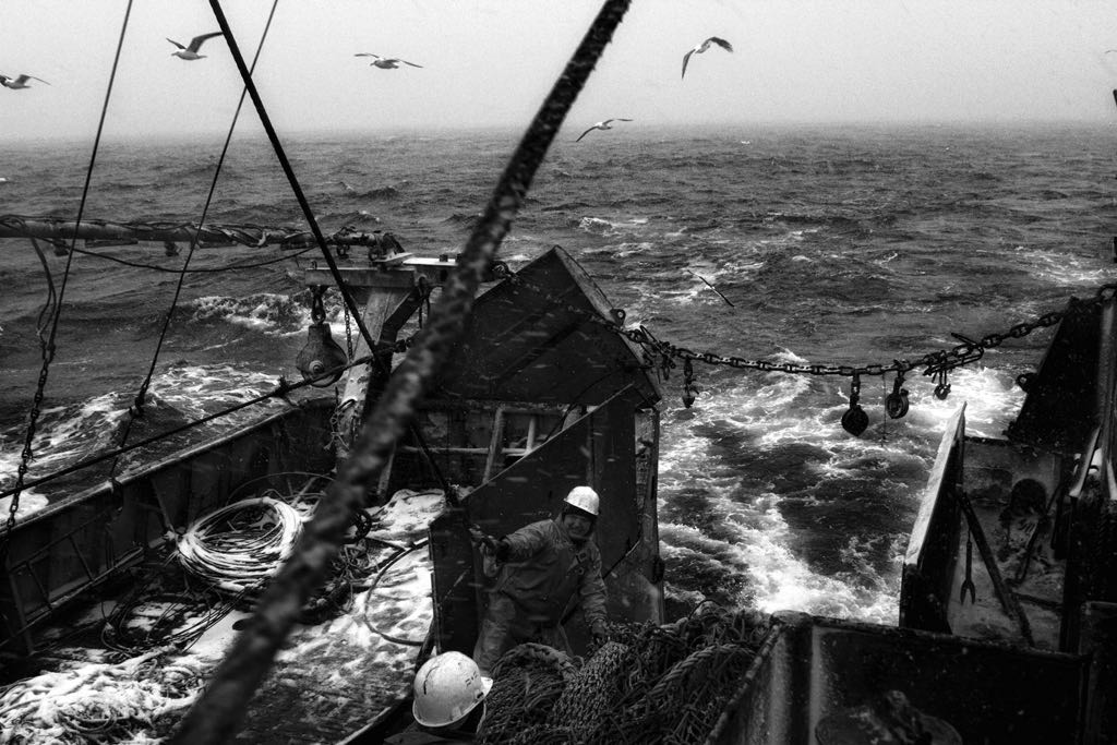 The picture story about Russian fishermen (from the waters of Kuril Islands, Pacific) Industrial saury fishing by "Star" ship and "Kapitan Lapkin" ship. The Far East of Russia. March, October 2013Photo by Oleg Klimov. 