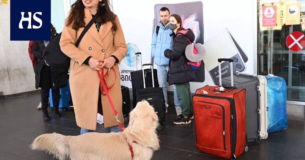 moscows middle class fleeying russia